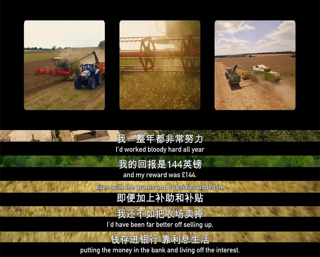 我一整年都非常努力。Idworkedbloodyhardal