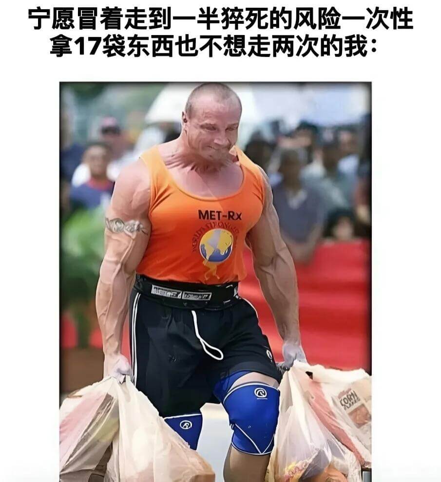 宁愿冒看走到一半猝死的风险一次性拿17袋东西也不想走两次的我