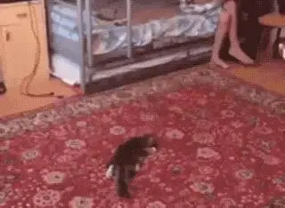 梗图