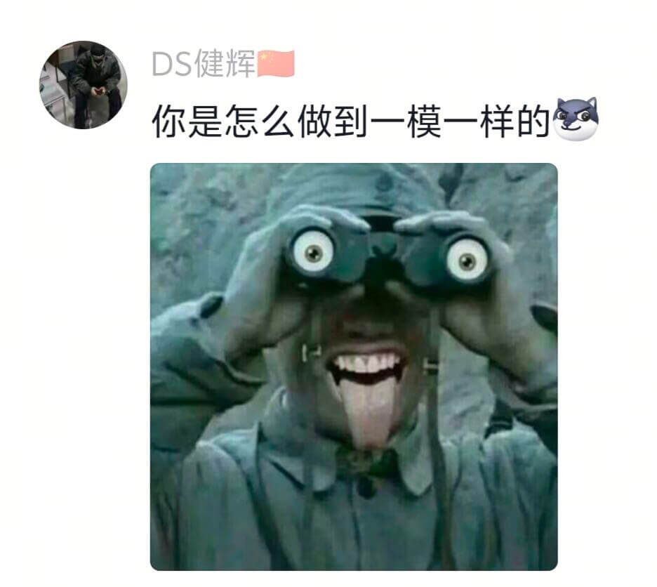 DS健辉你是怎么做到一模一样的