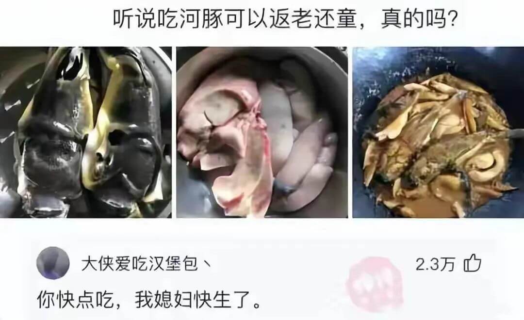 听说吃河豚可以返老还童，真的吗?大侠爱吃汉堡包丶你快点吃，我