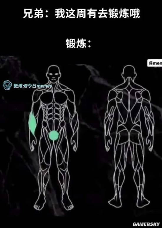 兄弟：我这周有去锻炼哦锻炼：Gmen微博：@今日memesG