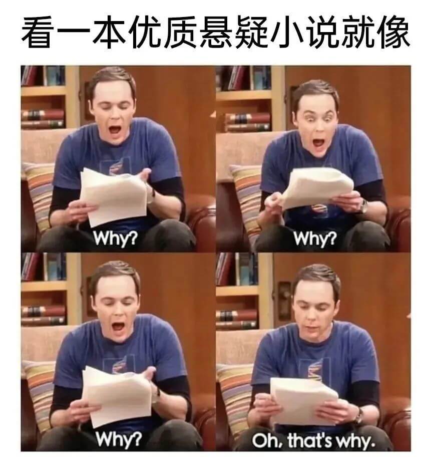 看一本优质悬疑小说就像Why?Why?Why?Oh,that
