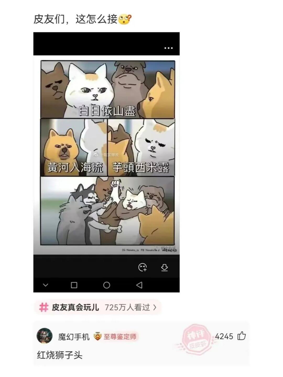 皮友们，这怎么接自日依山画黄河入海流芋頭西米露皮友真会玩儿7