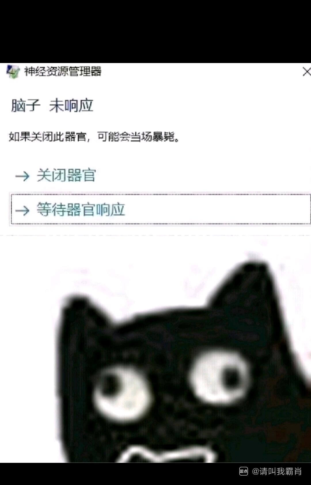 神经资源管理器脑子未响应如果关闭此器官，可能会当场暴毙。→关