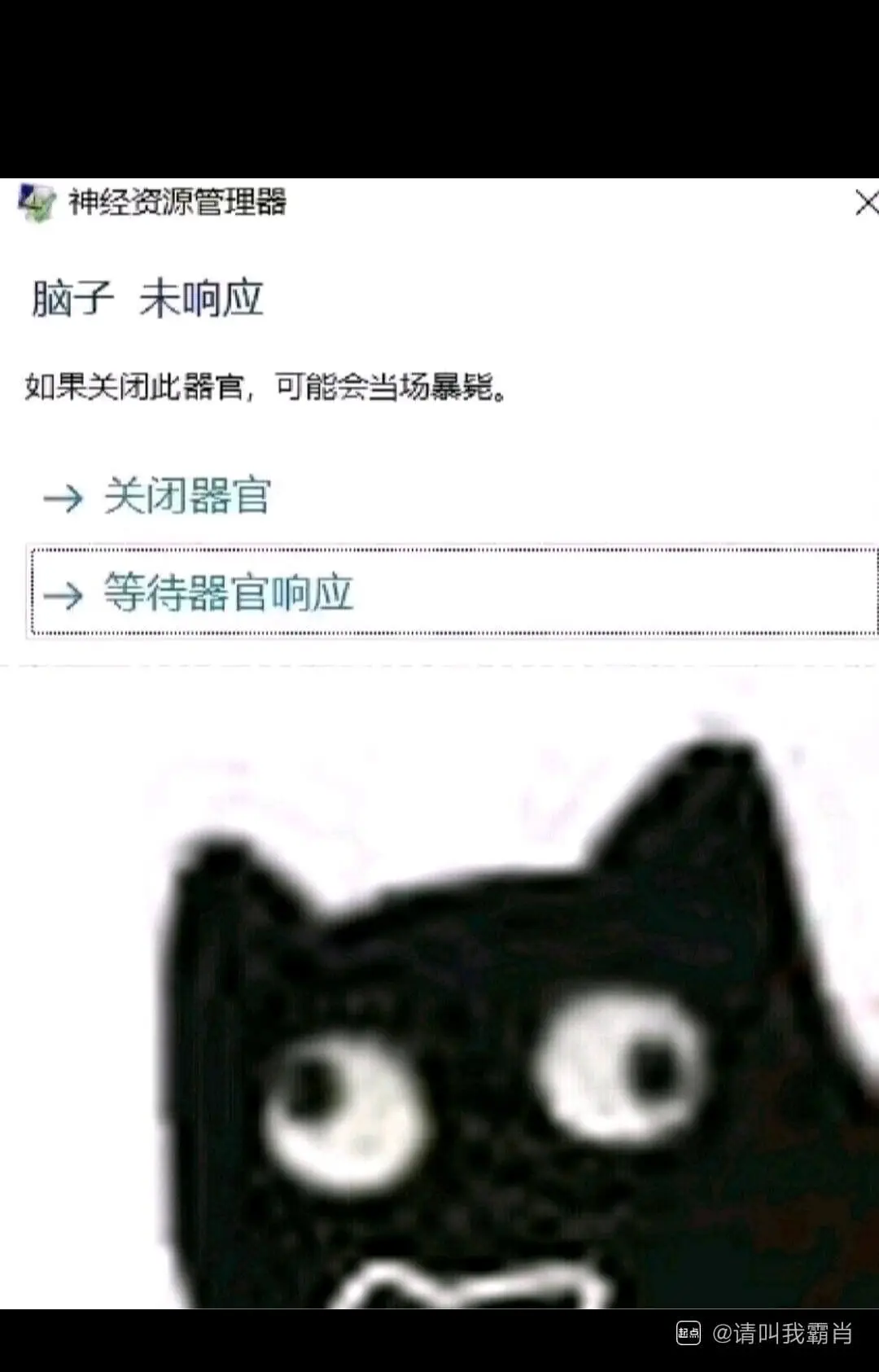 神经资源管理器脑子未响应如果关闭此器官，可能会当场暴毙。→关