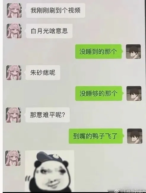 我刚刚刷到个视频白月光啥意思没睡到的那个朱砂痣呢没睡够的那个