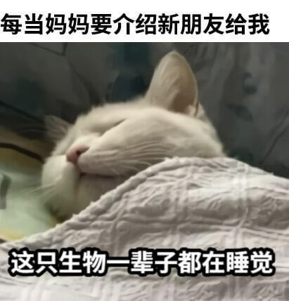 每当妈妈要介绍新朋友给我这只生物一辈子都在睡觉