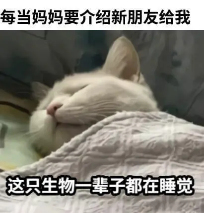 每当妈妈要介绍新朋友给我这只生物一辈子都在睡觉