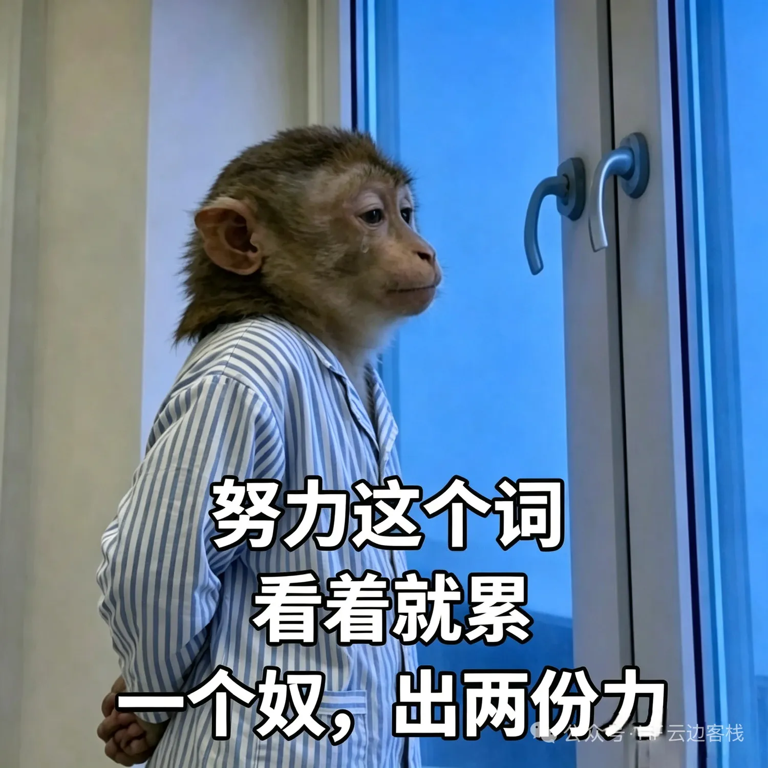 梗图