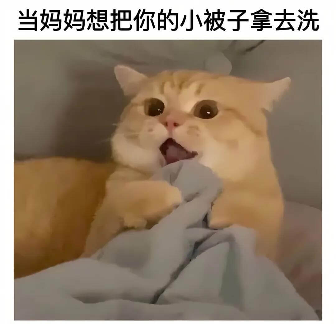 当妈妈想把你的小被子拿去洗