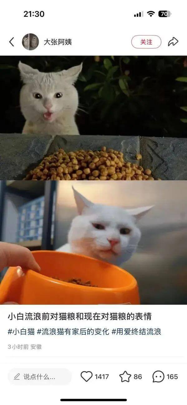 21:30二7大张阿姨关注小白流浪前对猫粮和现在对猫粮的表情