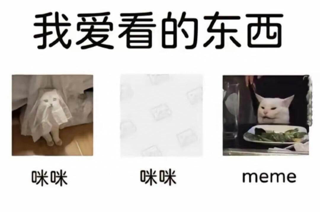 我爱看的东西咪咪咪咪meme