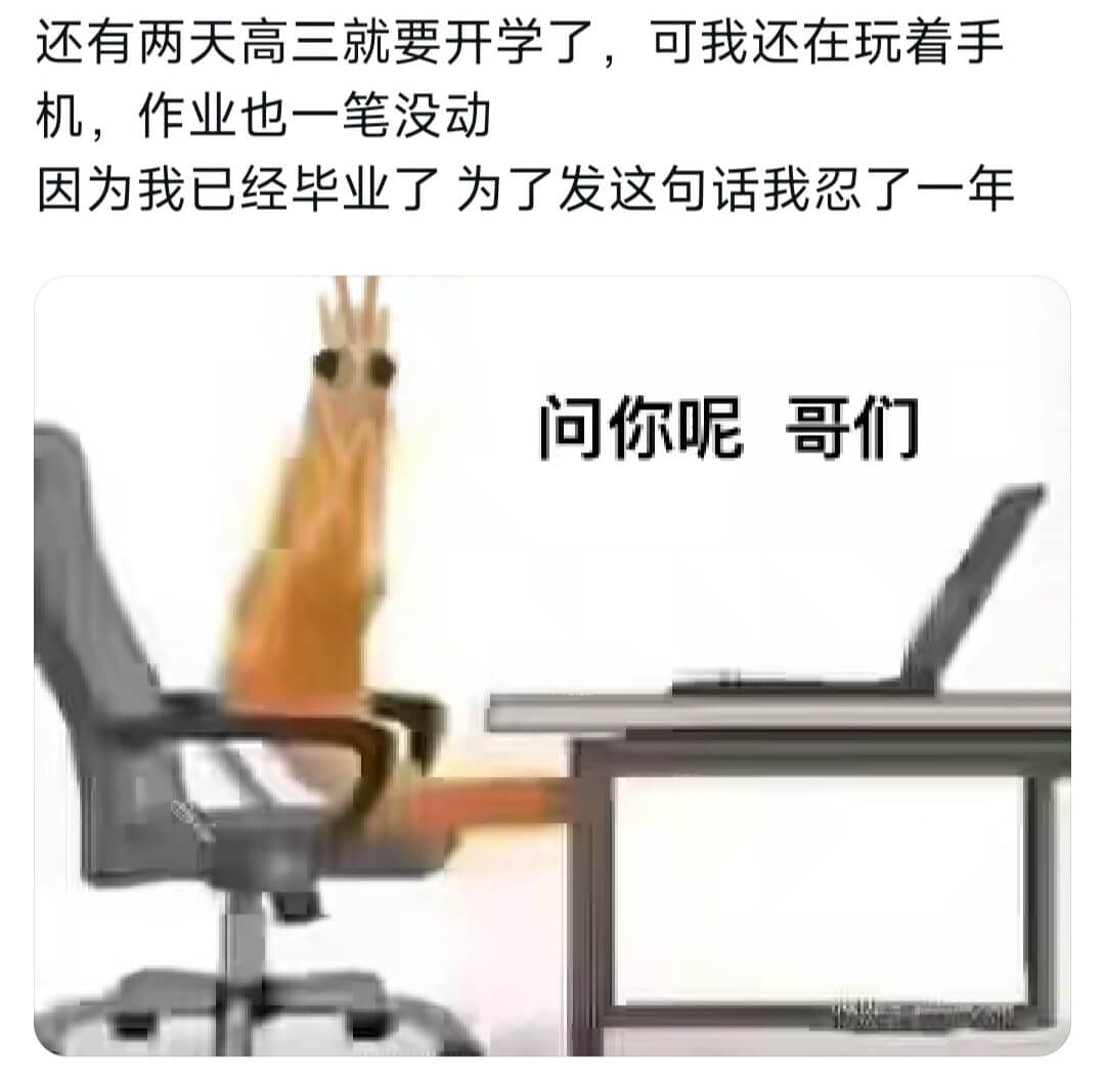 还有两天高三就要开学了，可我还在玩着手机，作业也一笔没动因为