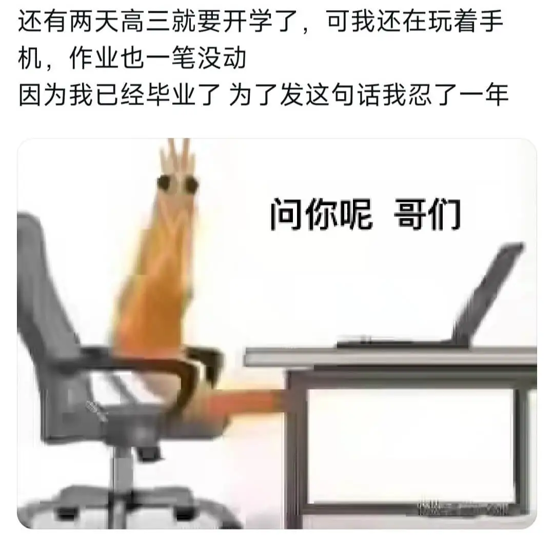 还有两天高三就要开学了，可我还在玩着手机，作业也一笔没动因为
