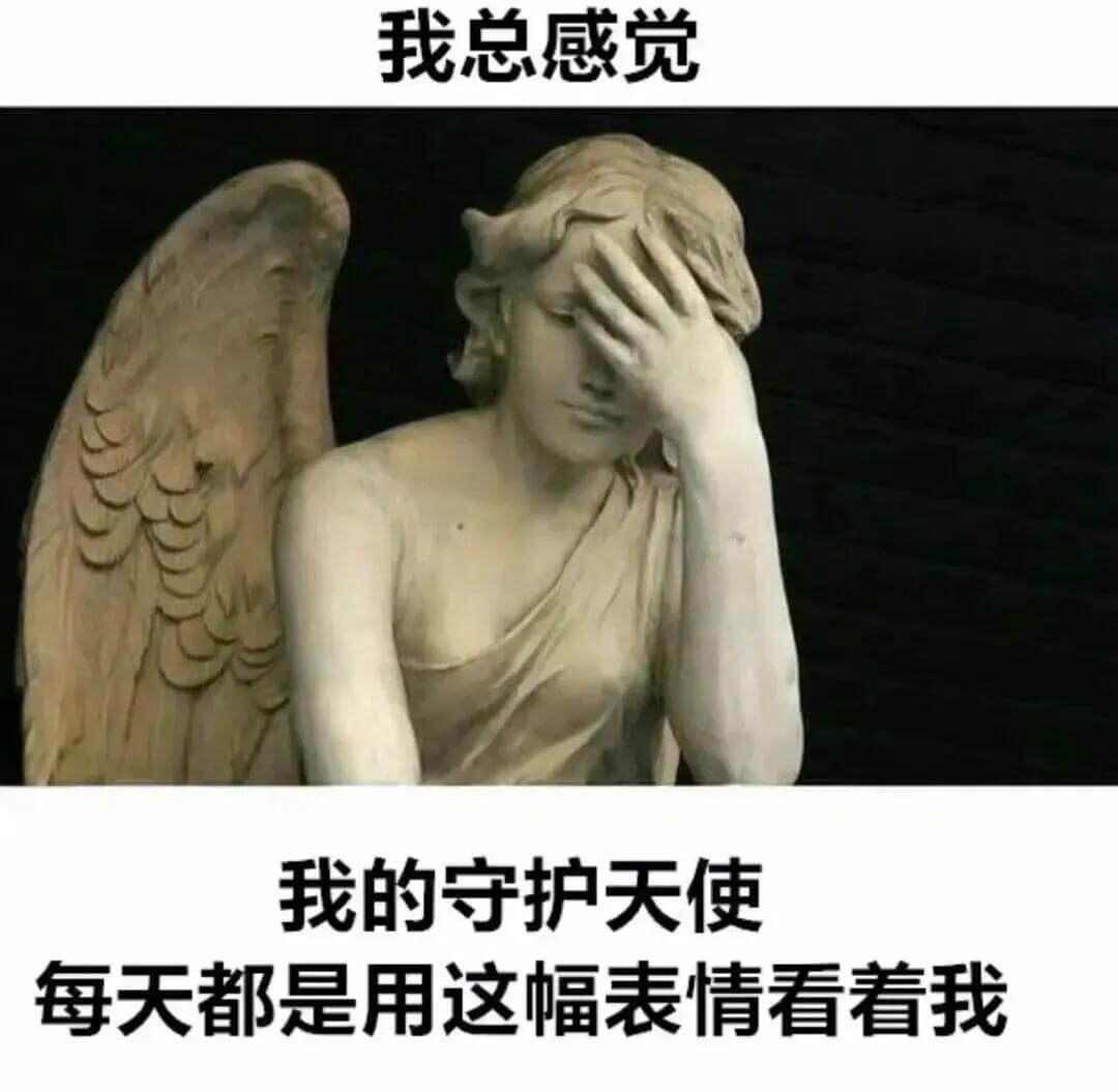 我总感觉我的守护天使每天都是用这幅表情看着我