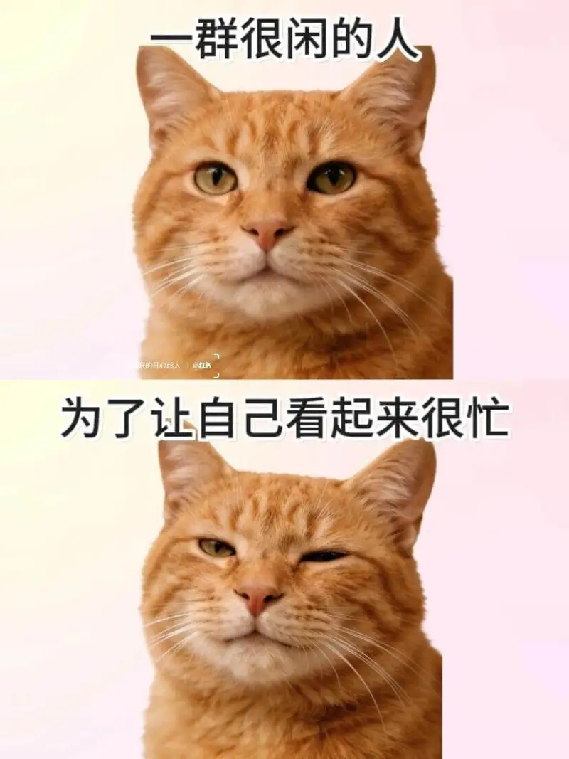 一群很闲的人的小打书——为了让自己看起来很忙的开心超人