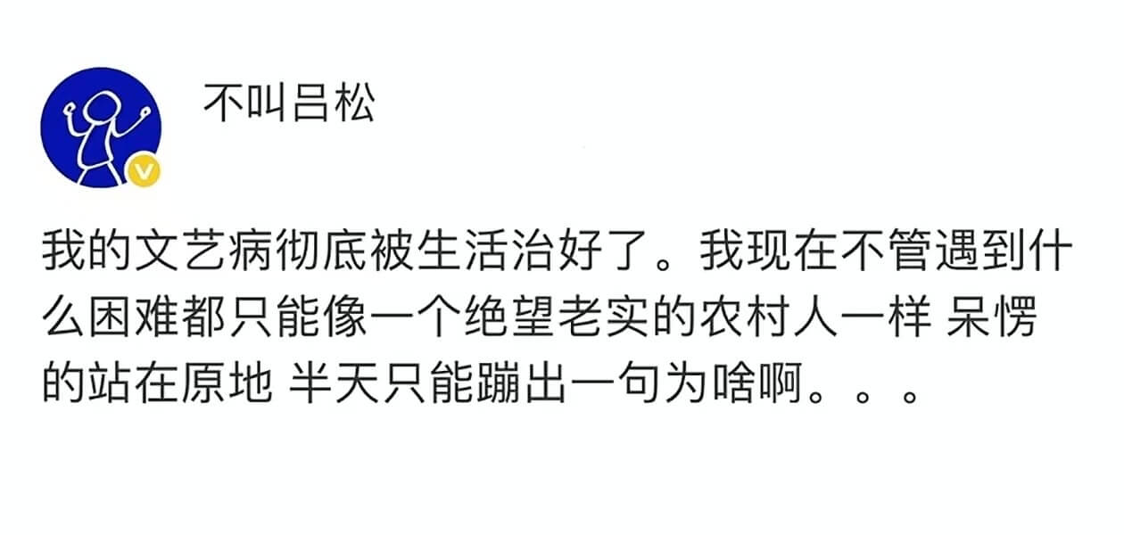 不叫吕松我的文艺病彻底被生活治好了。我现在不管遇到什么困难，