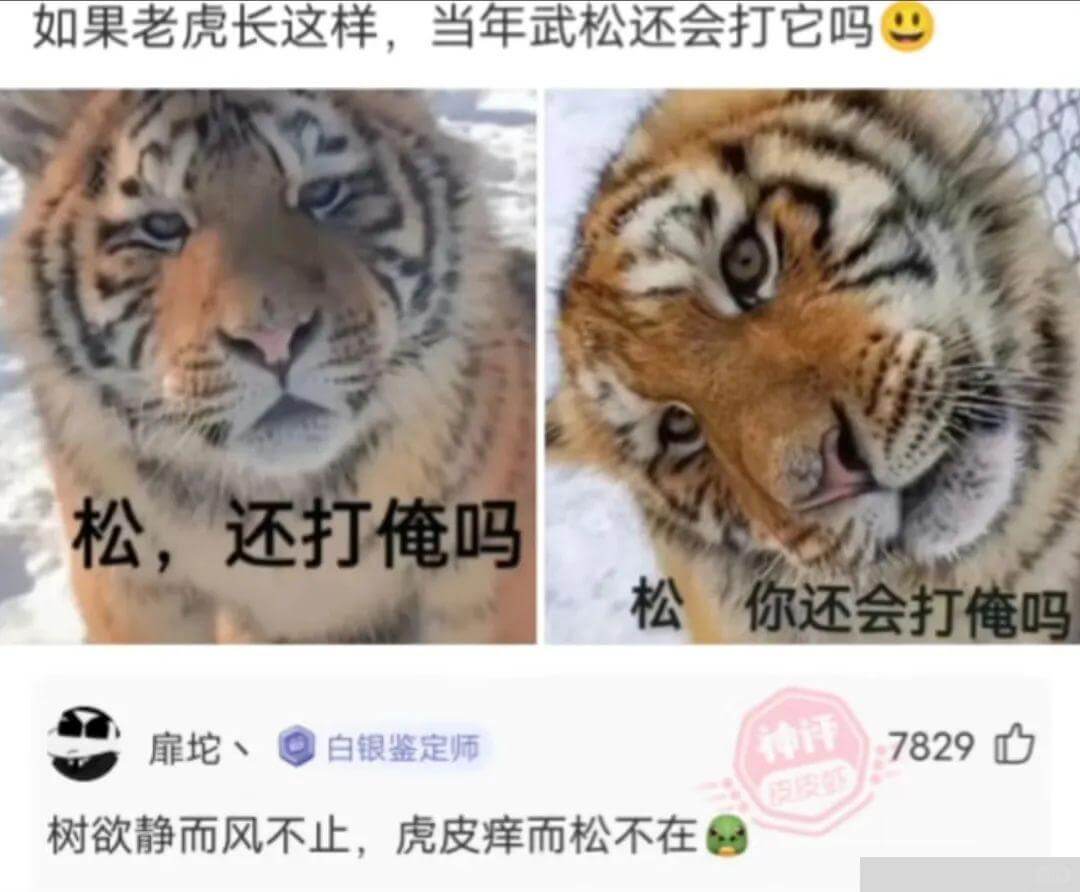 如果老虎长这样，当年武松还会打它吗松，还打俺吗松你还会打俺吗