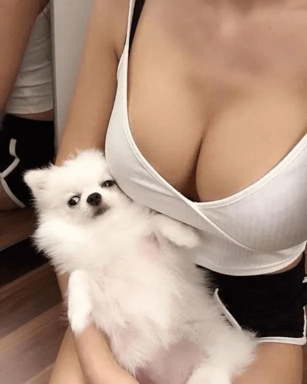 轻松三刻