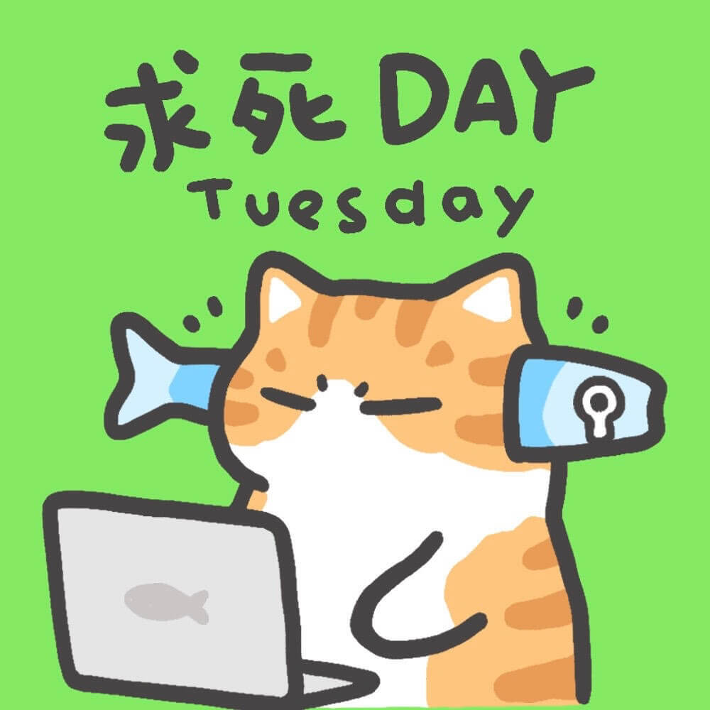 求死DAYTuesday