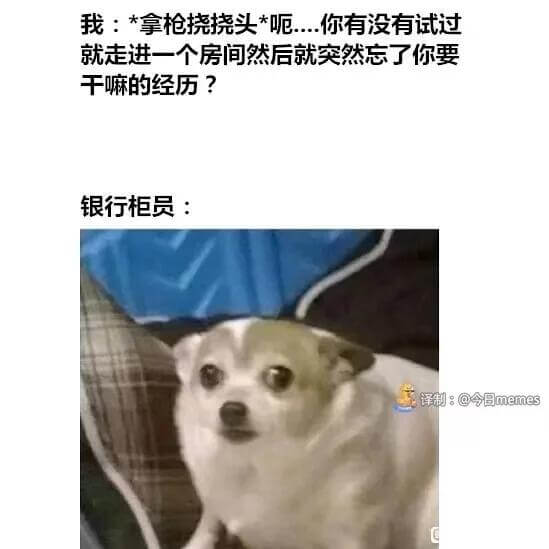 我：*拿枪烧烧头*..你有没有试过就走进一个房间然后就突然忘
