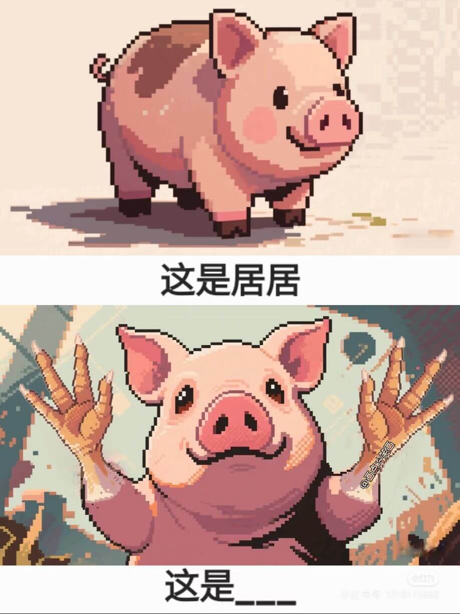 这是居居。这是