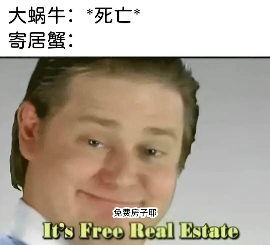 大蜗牛：*死亡寄居蟹：免费房子耶！ItsFreeRealEs