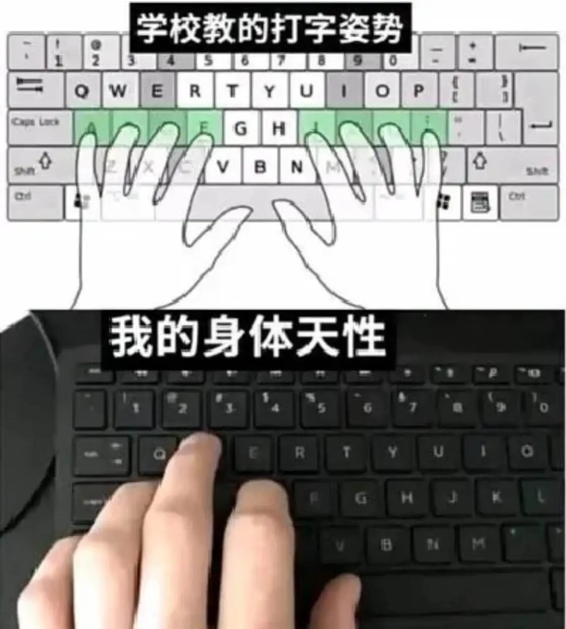 学校教的打字姿势WERHBC我的身体天性R8