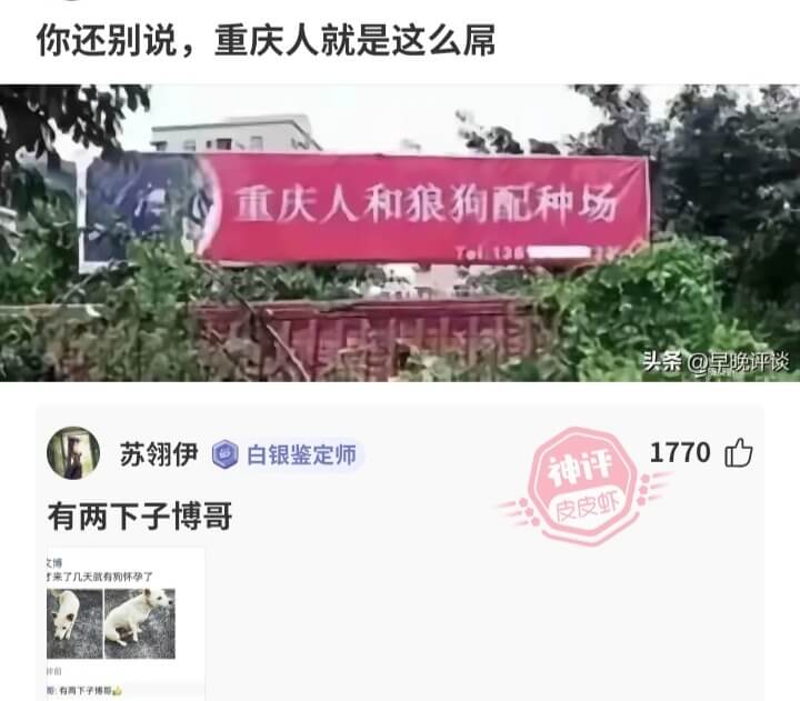 你还别说，重庆人就是这么屌重庆人和狼狗配种场Tel136头条