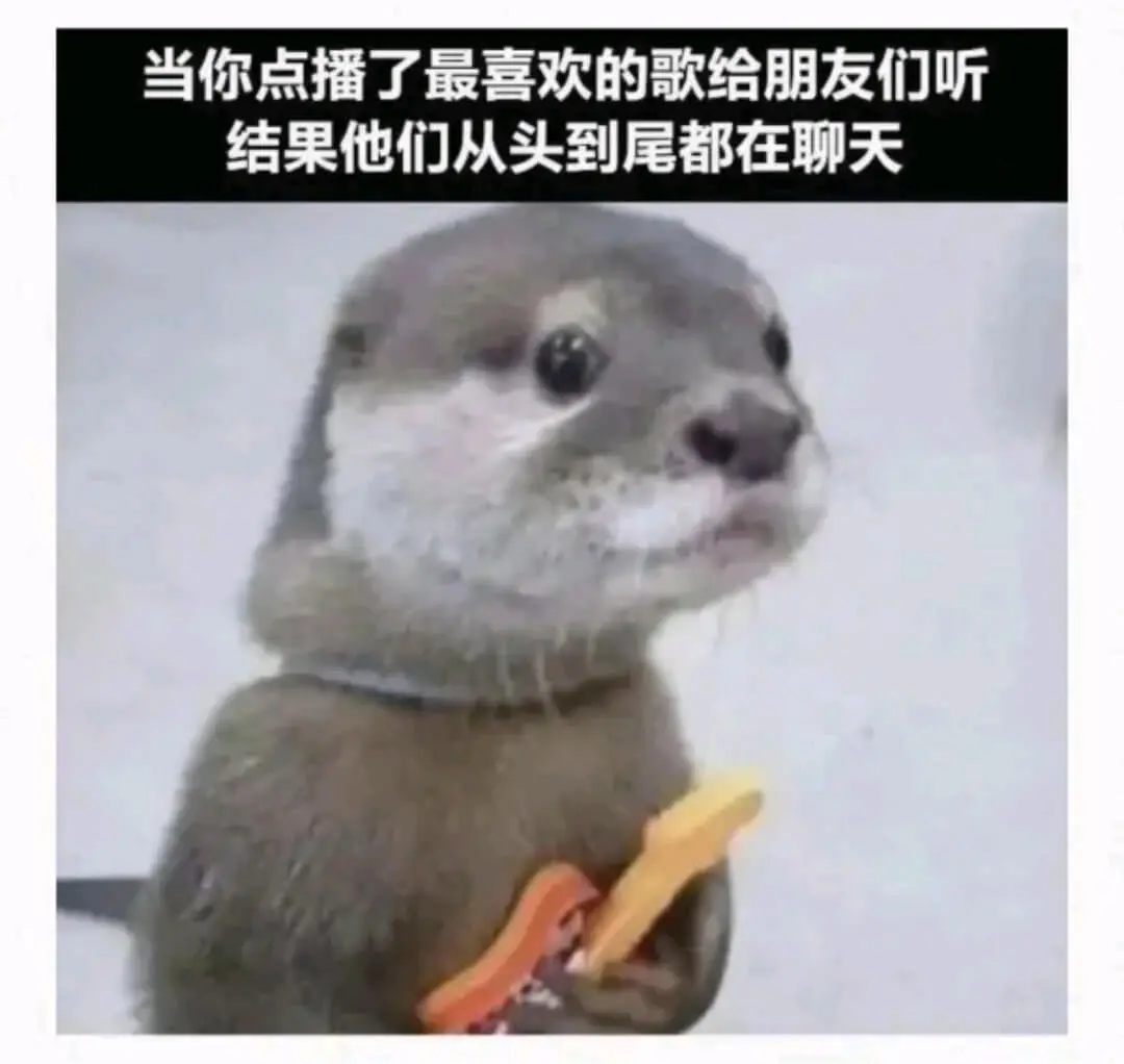 当你点播了最喜欢的歌给朋友们听结果他们从头到尾都在聊天