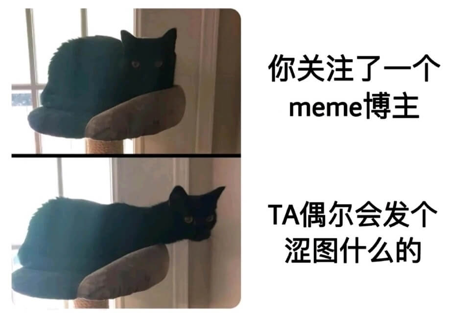 你关注了一个meme博主TA偶尔会发个涩图什么的
