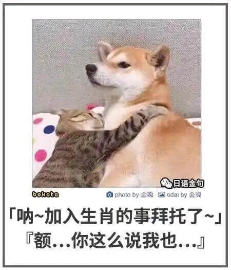 日语金包bokcteIaphotoby金莞Eodarby金费