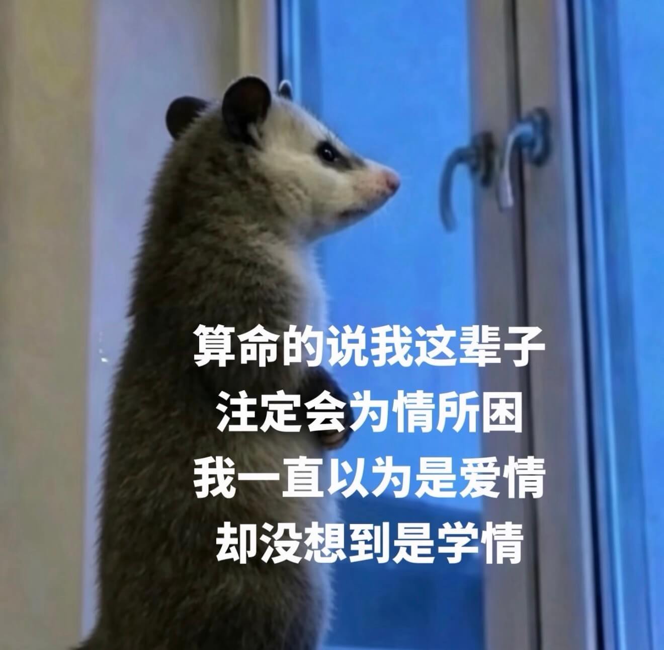 算命的说我这辈子注定会为情所困。我一直以为是爱情，却没想到是