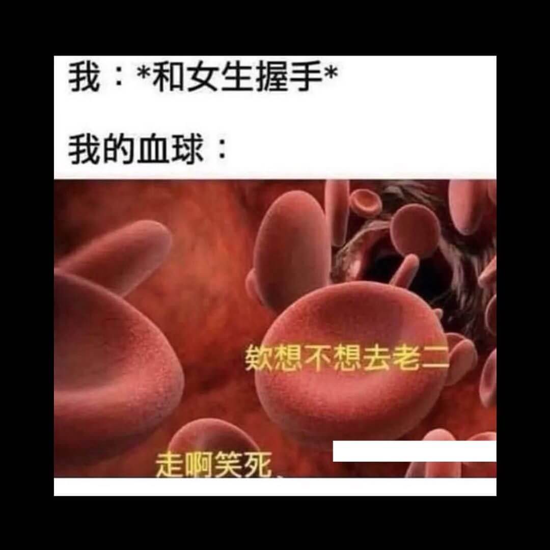我：*和女生握手*我的血球：款想不想去老一家走啊笑死