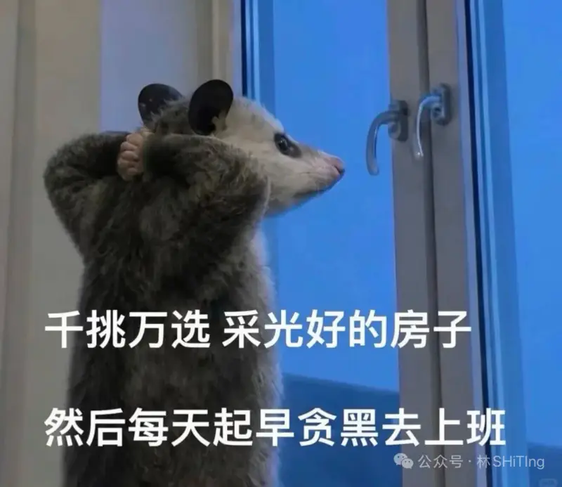 干挑万选采光好的房子，然后每天起早贪黑去上班。公众号·林SH