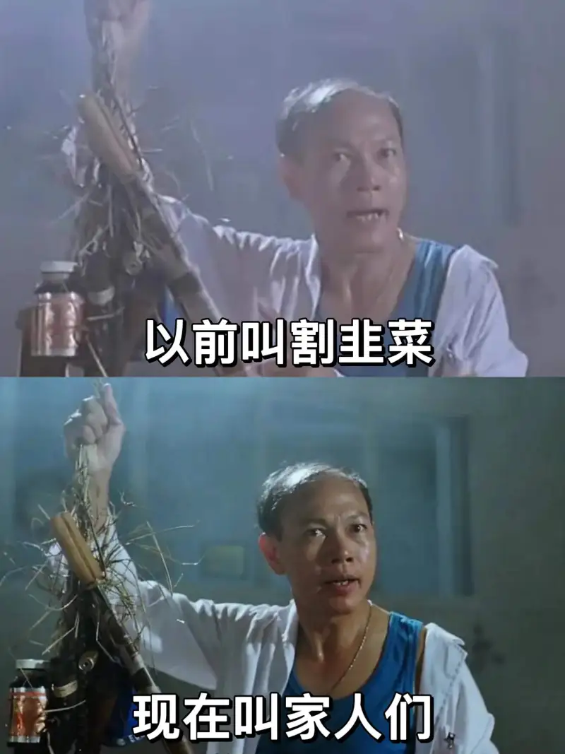 以前叫割韭菜