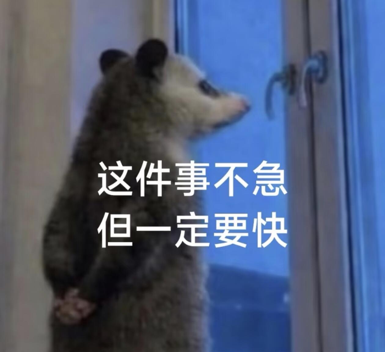 这件事不急，但一定要快。