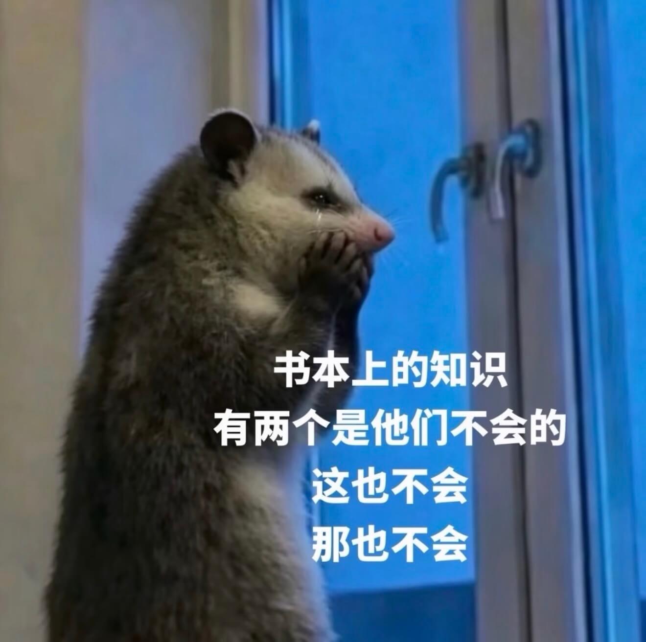 书本上的知识有两个是他们不会的，这也不会，那也不会。