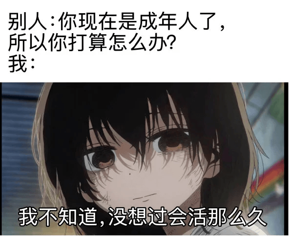 别人：你现在是成年人了，所以你打算怎么办？我：我不知道，没想