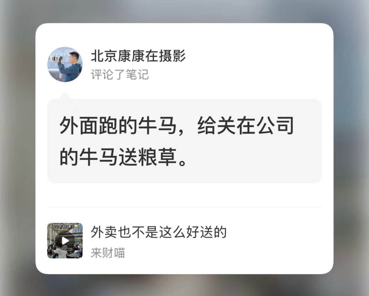北京康康在摄影评论了笔记外面跑的牛马，给关在公司的牛马送粮草