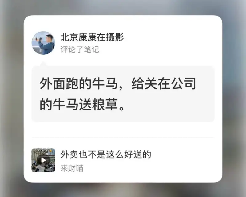 北京康康在摄影评论了笔记外面跑的牛马，给关在公司的牛马送粮草