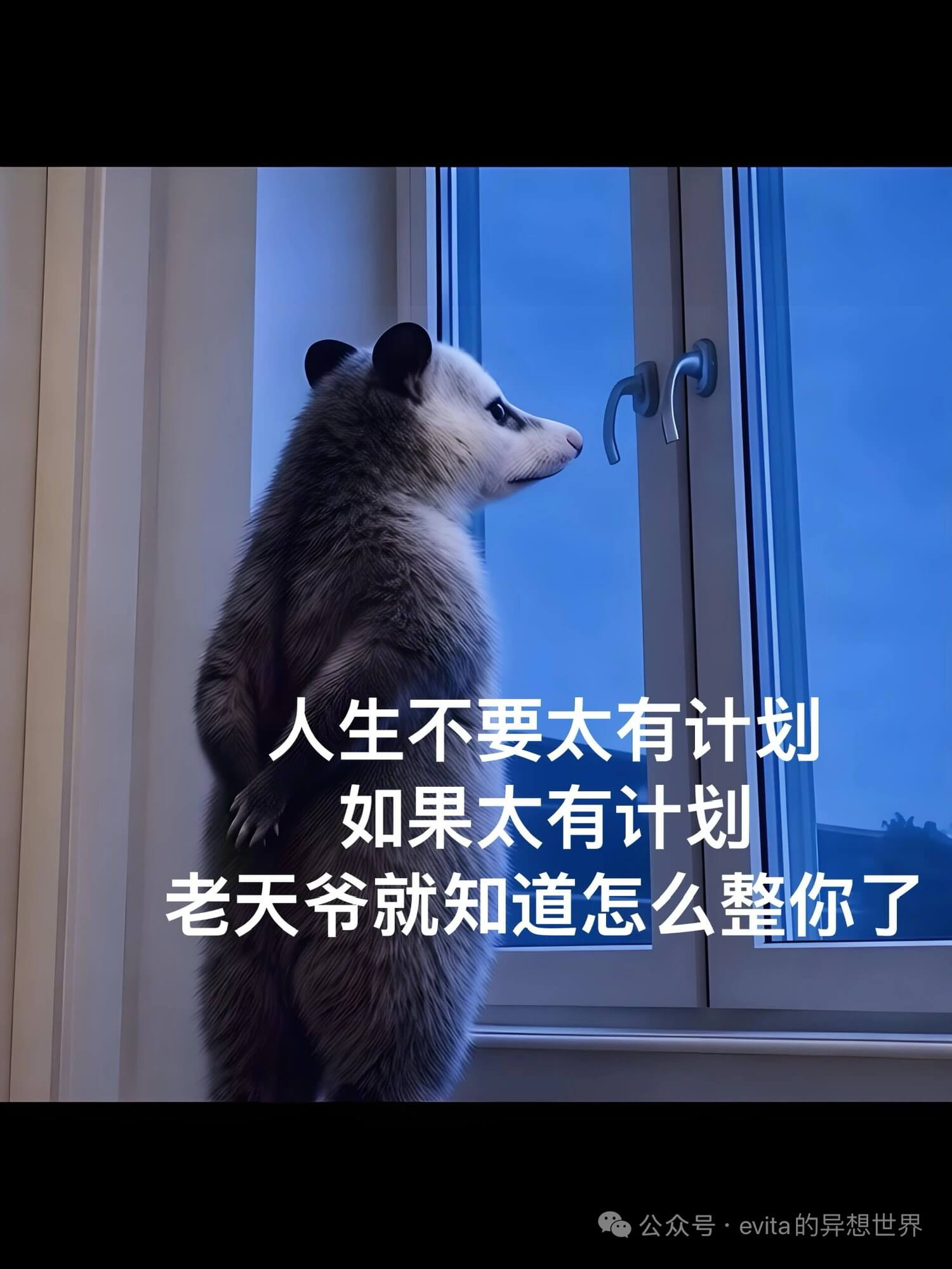 人生不要太有计划,如果太有计划,老天爷就知道怎么整你了。公众