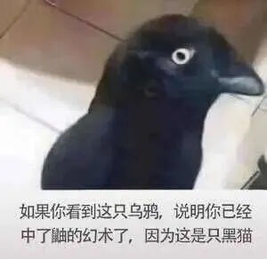 如果你看到这只乌鸦，说明你已经中了鼬的幻术了，因为这是只黑猫