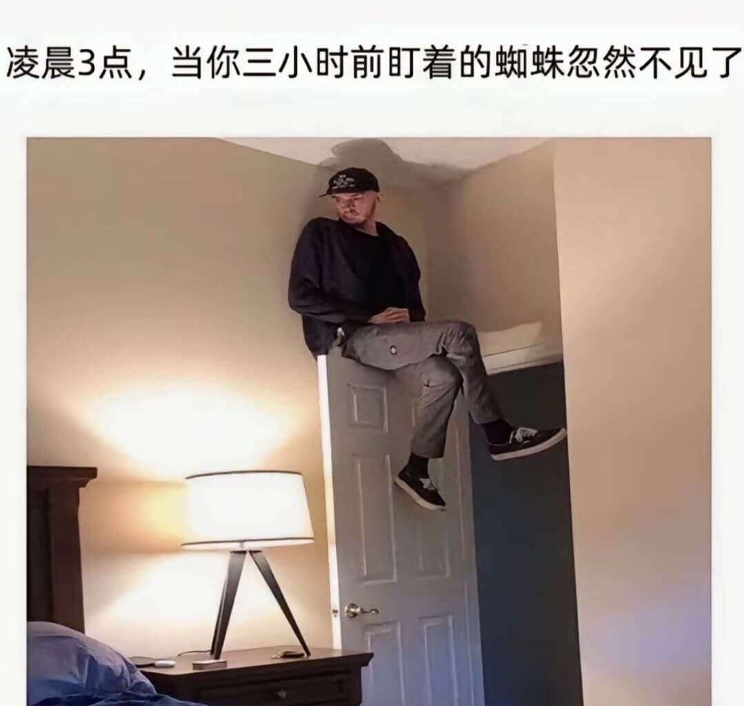 凌晨3点，当你三小时前盯着的蜘蛛忽然不见了