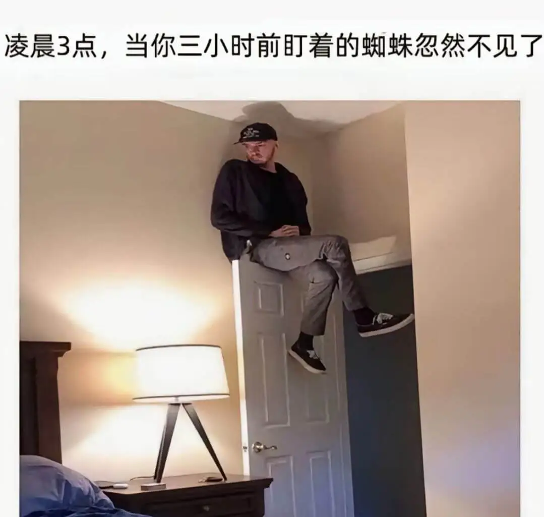 凌晨3点，当你三小时前盯着的蜘蛛忽然不见了