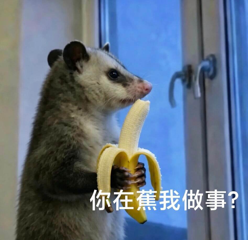 你在蕉我做事？