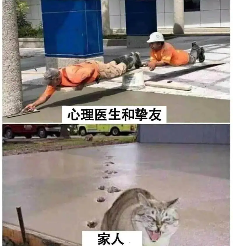 心理医生和挚友、家人