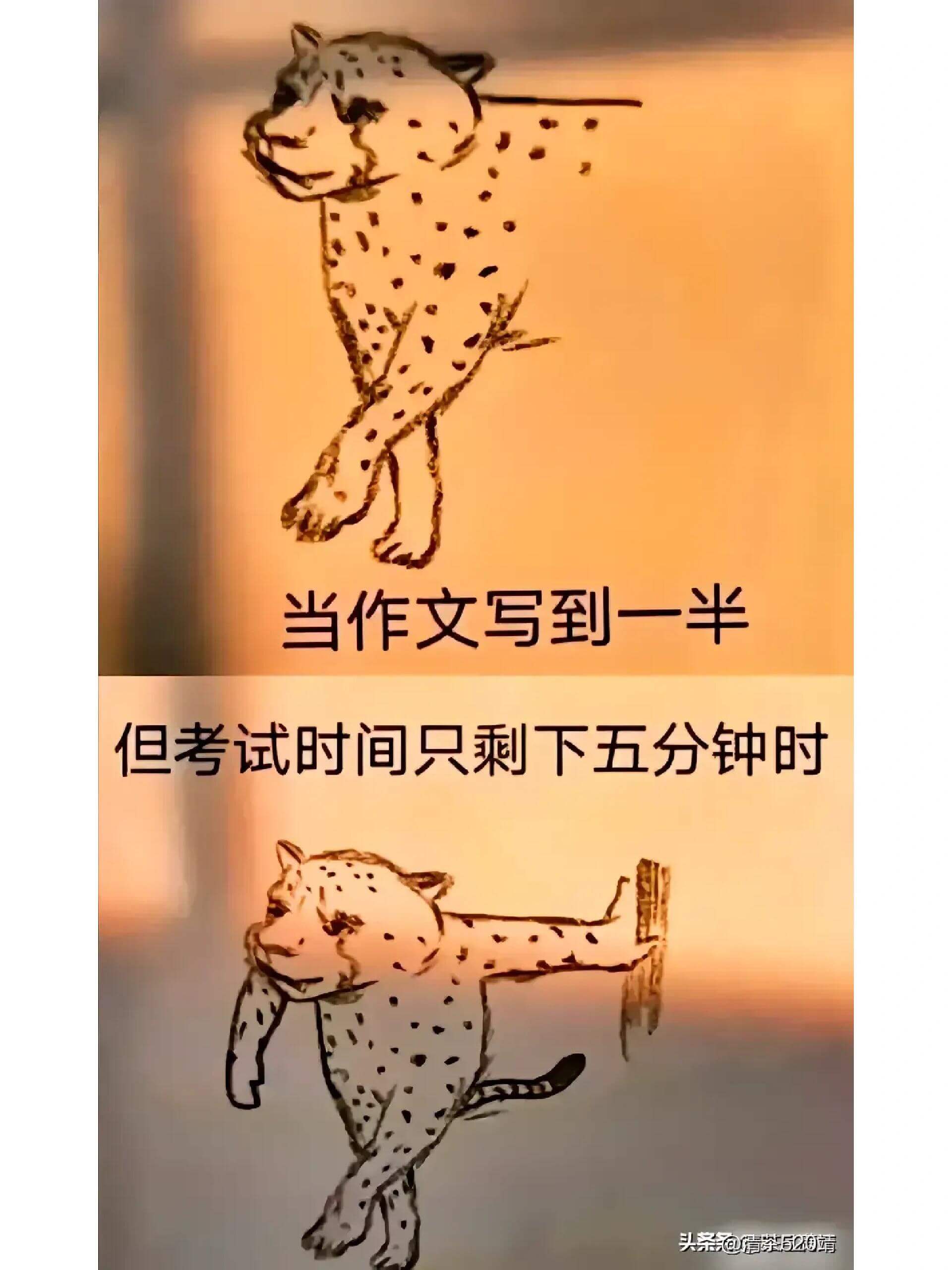 当作文写到一半但考试时间只剩下五分钟时，头条泡清茶。