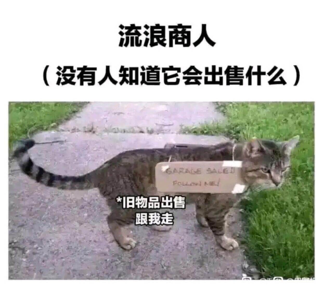 流浪商人（没有人知道它会出售什么）SARESALEIFCPE